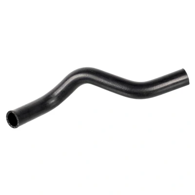Immagine di FEBI BILSTEIN 174402 Tubo Radiatore 30 inferiore EPDM (Etilene Propilene Diene Caucciù)