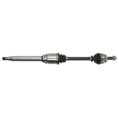 Immagine di Albero motore/Semiasse PASCAL G2F032PC