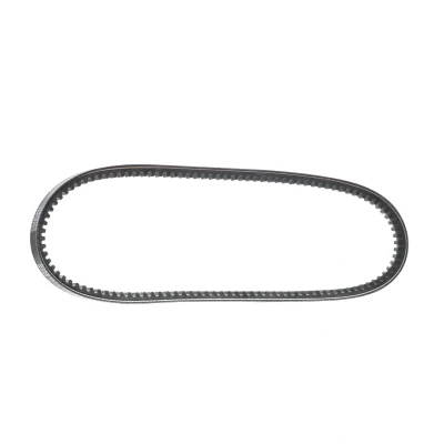Immagine di Cinghia trapezoidale DAYCO 13A0825C