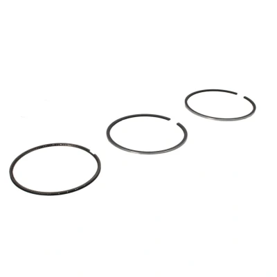 Immagine di GOETZE ENGINE 08 431700 00 Kit Fasce Elastiche 91