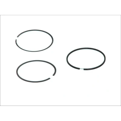 Immagine di GOETZE ENGINE 08 142300 00 Kit Fasce Elastiche 70 FIAT: Seicento / 600 Hatchback, Punto I Panda II LANCIA: Y, Y10