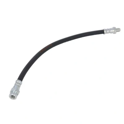 Immagine di DELPHI LH7170 Tubi Freno 359 M10x1 INT DF