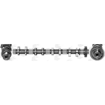 Immagine di AE CAM947 Albero a Camme Lato scarico OPEL: Corsa D Hatchback, Mokka / X, CHEVROLET: Cruze Sedan