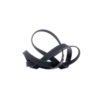 Immagine di DAYCO 5PK1355 Cinghia Poly V 1355,0 5 OPEL: Corsa D Hatchback, Astra H Caravan, Meriva A, SUZUKI: Wagon R III Hatchback