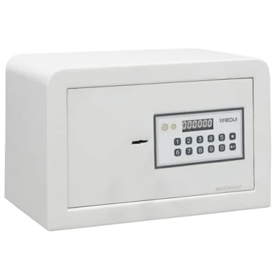 Immagine di ARREGUI Magna 590010 Cassaforte da Armadio con Serratura a Doppia Sicurezza Cassetta di Codice e Chiave Picolla Mobile, Mensola o Pavimento 20x31x20 cm 8 L