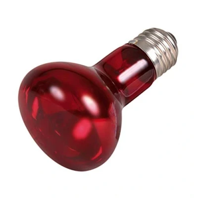 Immagine di Trixie 76095 Lampada spot infrarossi riscaldante