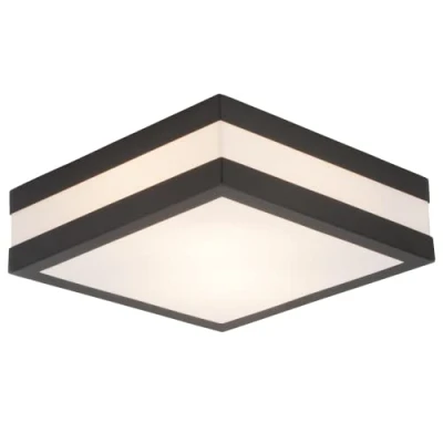 Immagine di Lightbox Lampada da soffitto per esterni 9 x 29 cm parete e a 2 fiamme patio o casetta giardino prese E27 in acciaio inox/plastica