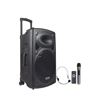 Immagine di Dynasonic Dynapro Impianto Audio Portatile Cassa Attiva 15&quot;, Altoparlante Potente, Ingressi Usb Sd Mp3, Radio Fm, Nero (Dynapro 15)