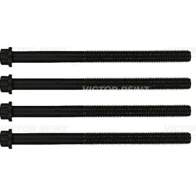 Immagine di REINZ 14 32069 01 Kit Bulloni Testata Multidentata esterna