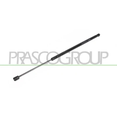 Immagine di PRASCO FT4209070 Pistoncini portellone 810 603 posteriore Sx, Dx FIAT: Stilo Hatchback