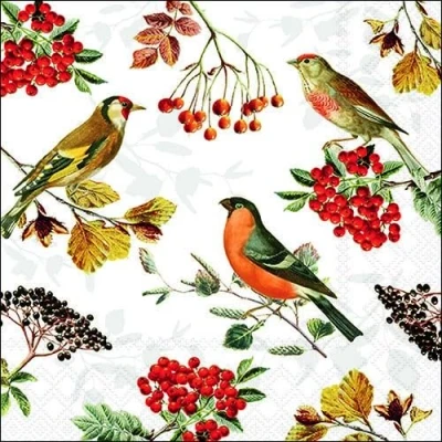 Immagine di 20 Tovaglioli Autunno Uccelli su rami con Berren come decorazione da tavolo. di carta motivo. Anche per decoupage e 33 x cm