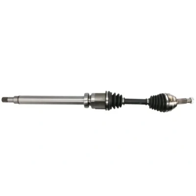 Immagine di Albero motore/Semiasse PASCAL G2G077PC