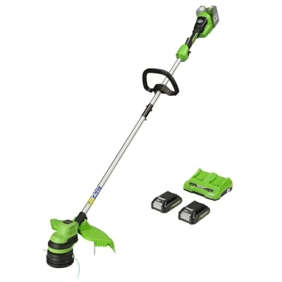 Immagine di Greenworks Tools Tagliabordi A Batteria 48 V, 2 X 24 Taglio 33 Cm, Con Due Batterie 2Ah E Caricatore, Nero Verde