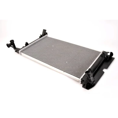 Immagine di Radiatore, raffreddamento motore THERMOTEC D72031TT