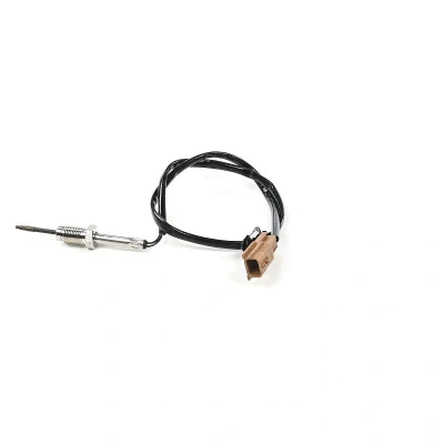 Immagine di DELPHI TS30357 12B1 Sensori NISSAN: Qashqai 2, NV200 / Evalia Bus