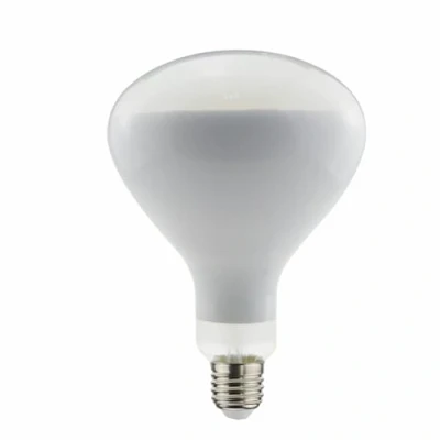 Immagine di DL DAYLIGHTITALIA Lampadina da ricambio per Parentesi Flos Filamento Led R125 11,2W E27 2700K 1330Lm
