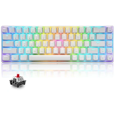 Immagine di T8 RGB 60% Tastiera Meccanica, da Gioco Cablata Layout Compatto al 65%, 18 Chroma Retroilluminato, QWERTY Mini 68 Tasti Full Key Anti ghosting per PS4, Xbox, Laptop Red Switch/White