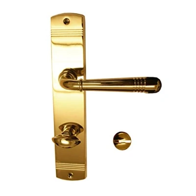 Immagine di Alpertec Sale, Set maniglia per porta WC in ottone lucidato, 32700033