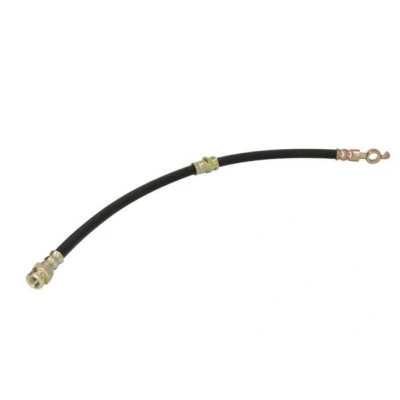 Immagine di ABE C82007ABE Tubi Freno Assale anteriore bilaterale 420 M10x1 internal DF