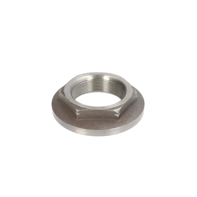 Immagine di FEBI BILSTEIN 04709 Dado, Fuso dell&#039;asse Sx