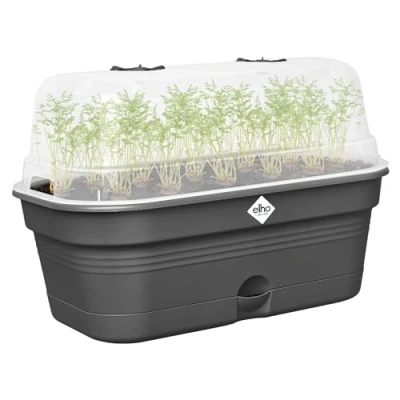 Immagine di elho Green Basics Grow Tray Allin1 M Fioriera Nero Coltura E Raccolta L 18 x W 32 H 13.2 cm