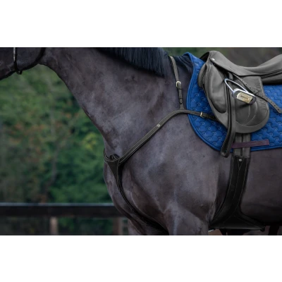 Immagine di Dyon Breastplate long bridge