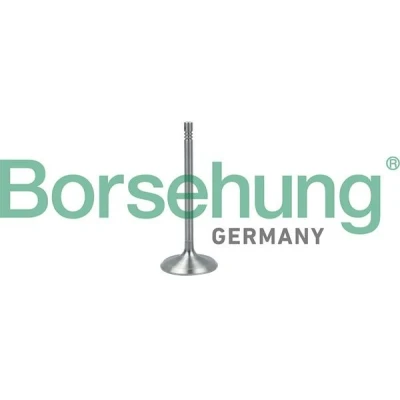 Immagine di Borsehung B19017 Valvola Aspirazione VOLKSWAGEN: Caddy 3, Golf 4, 5, AUDI: A3 Hatchback, A4 B5 Avant, B7 Avant