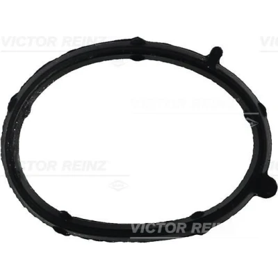 Immagine di REINZ 71 35681 00 Guarnizione Collettore Aspirazione FIAT: Punto II Hatchback, Doblo I Cargo, Strada Pick up