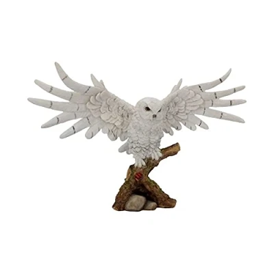 Immagine di Nemesis Now Statuetta con poggia neve, 30 cm, colore: Bianco