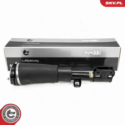 Immagine di ESEN SKV 58SKV709 Gamba elastica con ammortiz. pneumatico Assale anteriore, Sx LAND ROVER: Range Rover 3