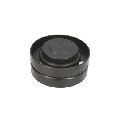 Immagine di BTA B05 AG 078 Rullo tenditore, Cinghia trapezoidale