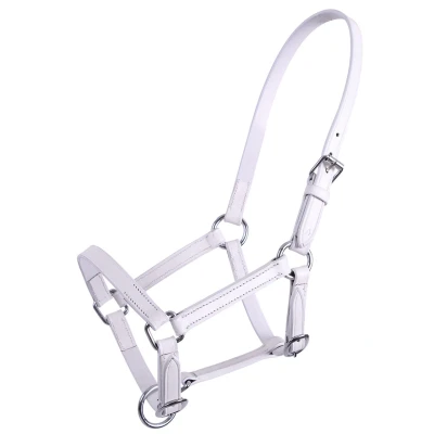 Immagine di QHP Foal Capezza Chico Leer in Size: Full (EU). Bianco