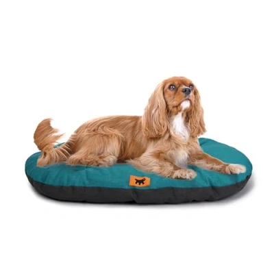 Immagine di Ferplast Cuccia Cane Relax, Cuscino per cani di taglia media, Gatto, Tappetino cucce e auto Lavabile in Cotone con Soffice Imbottitura, 65 x 42 cm. Turchese
