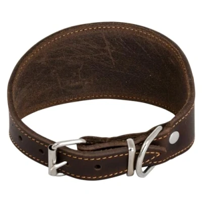Immagine di JACK AND VANILLA, Collare per levriero cani, modello pelle grassa, colore marrone, misura 37 cm