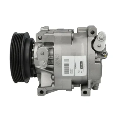 Immagine di TEAMEC 8629813 Compressore Aria Condizionata SCS08 12 PAG 100 FIAT: Punto II Hatchback, Strada Pick up, Doblo I Cargo