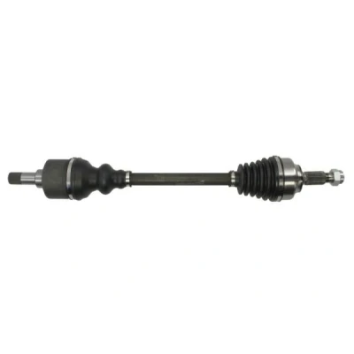 Immagine di Albero motore/Semiasse PASCAL G2C088PC