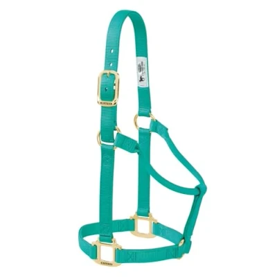 Immagine di Weaver Leather Cavezza per cavallo in nylon, non regolabile, piccola, verde smeraldo