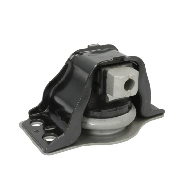 Immagine di REINHOCH RH11 2128 Supporto motore Dx RENAULT: SCENIC 2, MEGANE 2 Kombi, DACIA: Logan I MCV