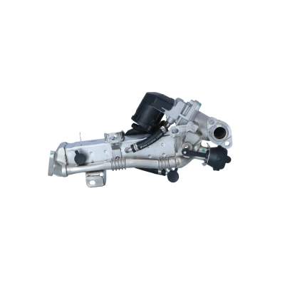 Immagine di NRF 48451 Modulo EGR con radiatore