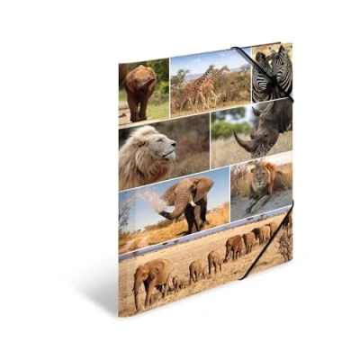 Immagine di HERMA 19222 Cartellina portadocumenti formato DIN A3, motivo: animali africani, in cartone resistente, con stampa interna completa, elastici, per bambini e bambine