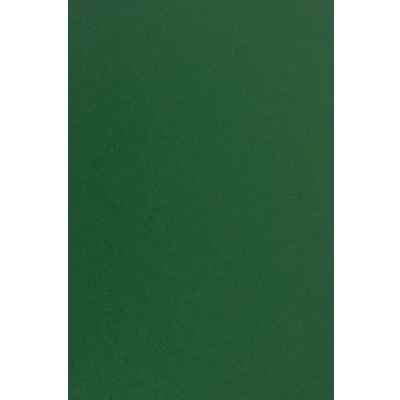 Immagine di Netuno 100x carta colorata verde scuro formato A4 210 x 297 mm 170g Sirio Color Foglia da stampare zucchero qualità per lavoretti natalizi compleanno matrimonio