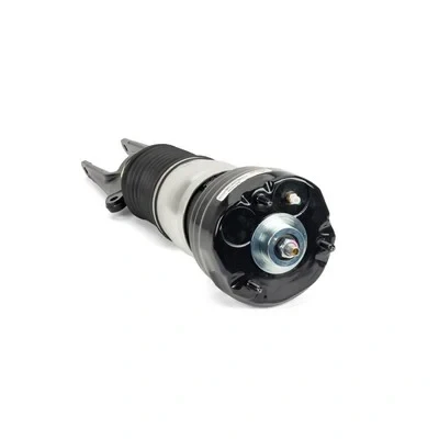 Immagine di Arnott AS 3038 Gamba elastica con ammortiz. pneumatico anteriore Sx