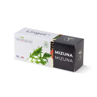 Immagine di Véritable Lingot® Mizuna BIO Compatibile con Orti Interni Exky® Ricarica pronta all&#039;Uso Substrato Semi Integrati