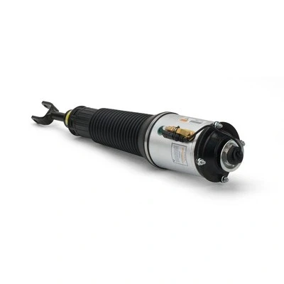 Immagine di Arnott AS 2775 Gamba elastica con ammortiz. pneumatico anteriore Dx AUDI: A8 D3