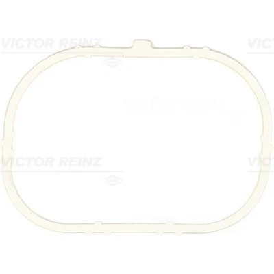 Immagine di REINZ 71 37913 00 Guarnizione, Alloggiam. collettore aspirazione RENAULT: MEGANE 2, 3, CLIO 3