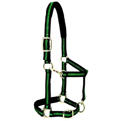 Immagine di Weaver Leather Cavezza imbottita regolabile in nylon, verde, 2,5 cm, cavallo piccolo