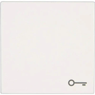 Immagine di Jung Placca di copertura Pulsante con simbolo chiave LS 990, design, plus Bianco alpino 990 T WW