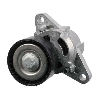 Immagine di FEBI BILSTEIN 28331 Tendicinghia RENAULT: CLIO 2, Kangoo I Express, Scénic 1, DACIA: Logan MCV, Sandero