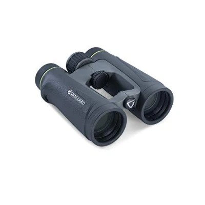 Immagine di Vanguard Endeavor ED IV 10 x 42 Binocolo a soffitto Nero, Verde 4,2 cm, Soffitto, Verde, mm, 114 m