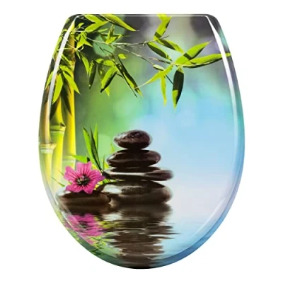 Immagine di WOLTU Sedile WC Copriwater Universale con Chiusura Ammortizzata Tavoletta Antibatterico Soft Close Cerniere Regolabili Toilet Seat Colore